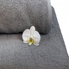Drap de bain XXL 460 g/m2 Wellness Gris velours