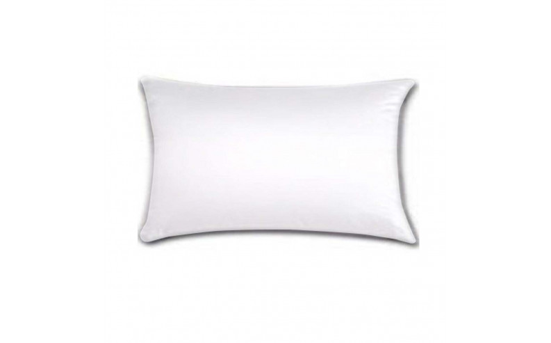 Intérieur de coussin 30x50cm
